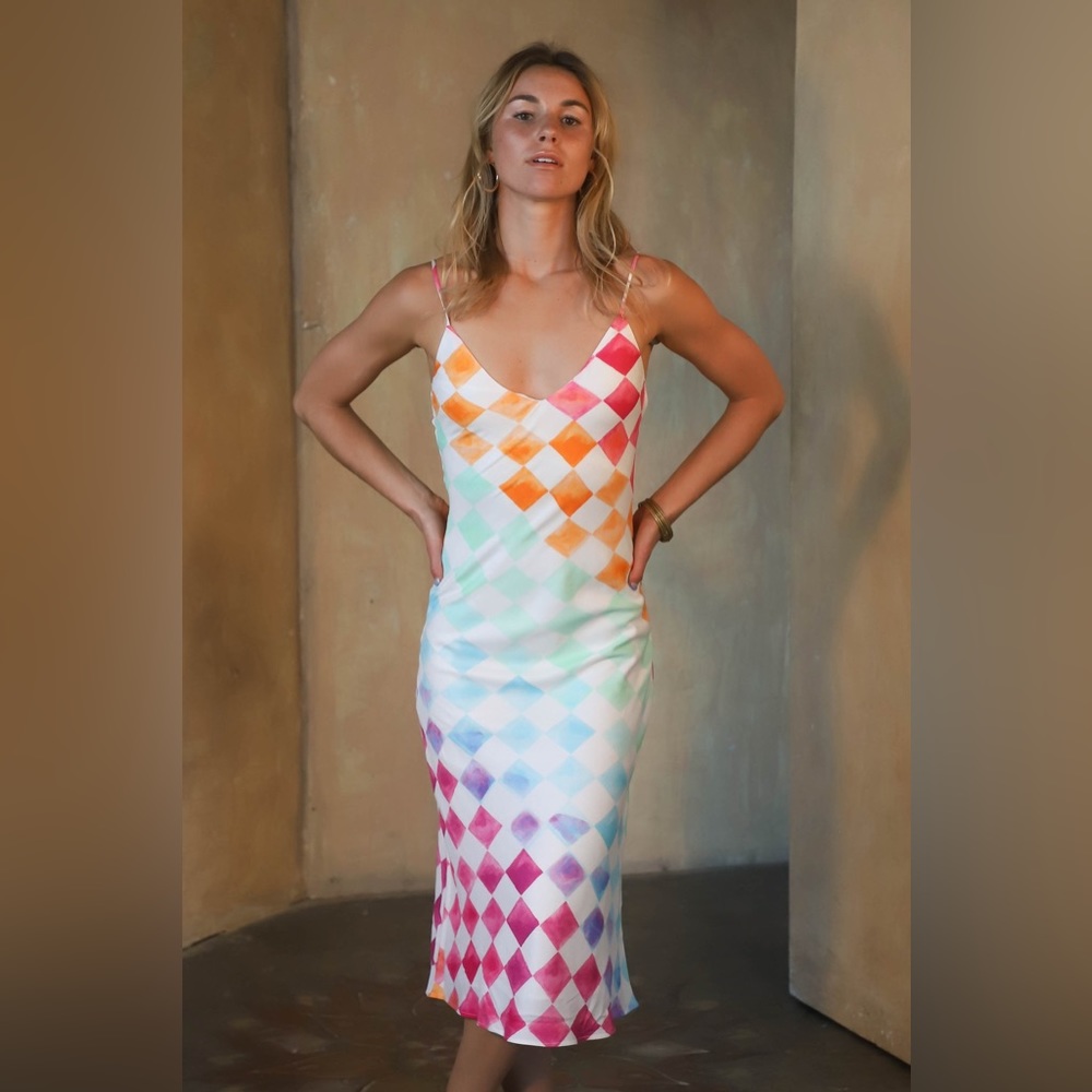 NWT Jens Pirate Booty Ocean Front Skinny Dip Midi Slip in Rainbow Check